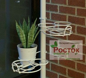 держатель для кактусов фиалочек деток и черенков металлический. Фото N2